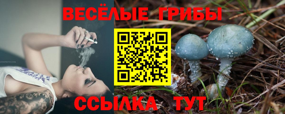 Псилоцибиновые грибы мицелий Карачаевск